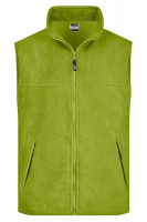 Lime-green (ca. Pantone 360C)
