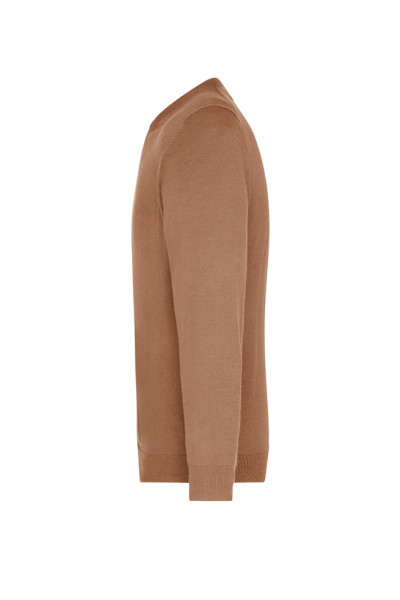 Men's V-Neck Pullover