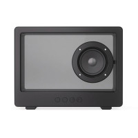 schwarz (± PMS Black)